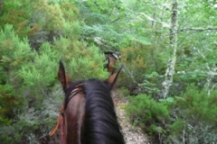 Ruta a caballo