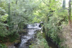 Río Narcea
